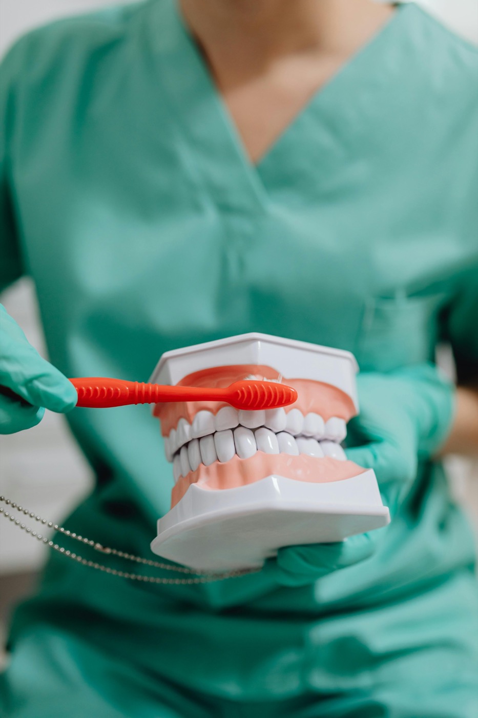 Instrucción de higiene oral con modelo dental